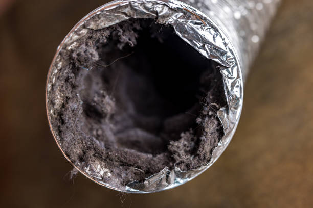 Best Local Air Duct Cleaning Services  in Angola On The Lake, NY